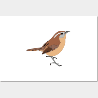 Carolina Wren Posters and Art